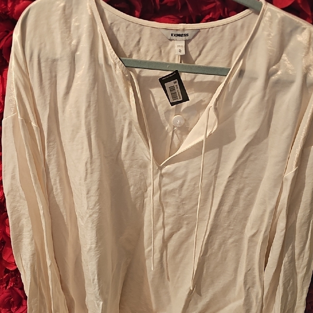 Express NWT Cream Shimmer Blouse Size XLarge